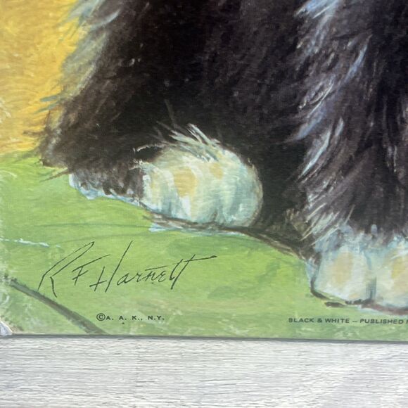 Tuxedo Black White Cat Green Ribbon 8x10 RF Harnett Litho in USA - Picture 4 of 12